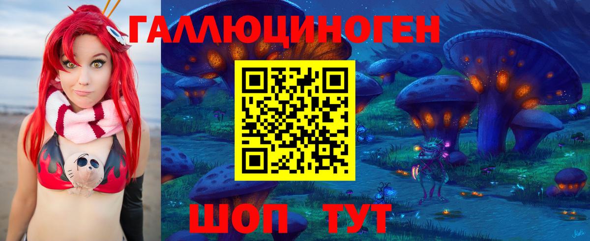 Новоалександровск  Псилоцибиновые грибы мицелий  Вход с VPN 