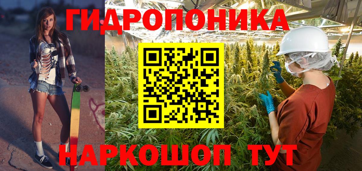 Бошки марихуана план  Шишки марихуана семена  Вход с VPN  Конопля VHQ  Новоалександровск  Марихуана ГИДРОПОН 